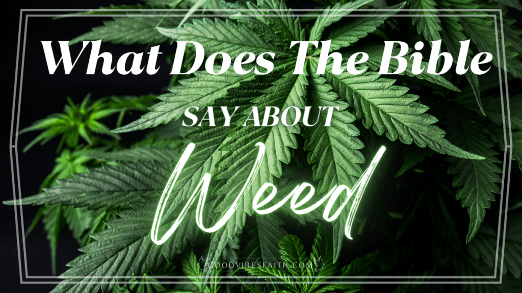 What Does The Bible Say About Weed