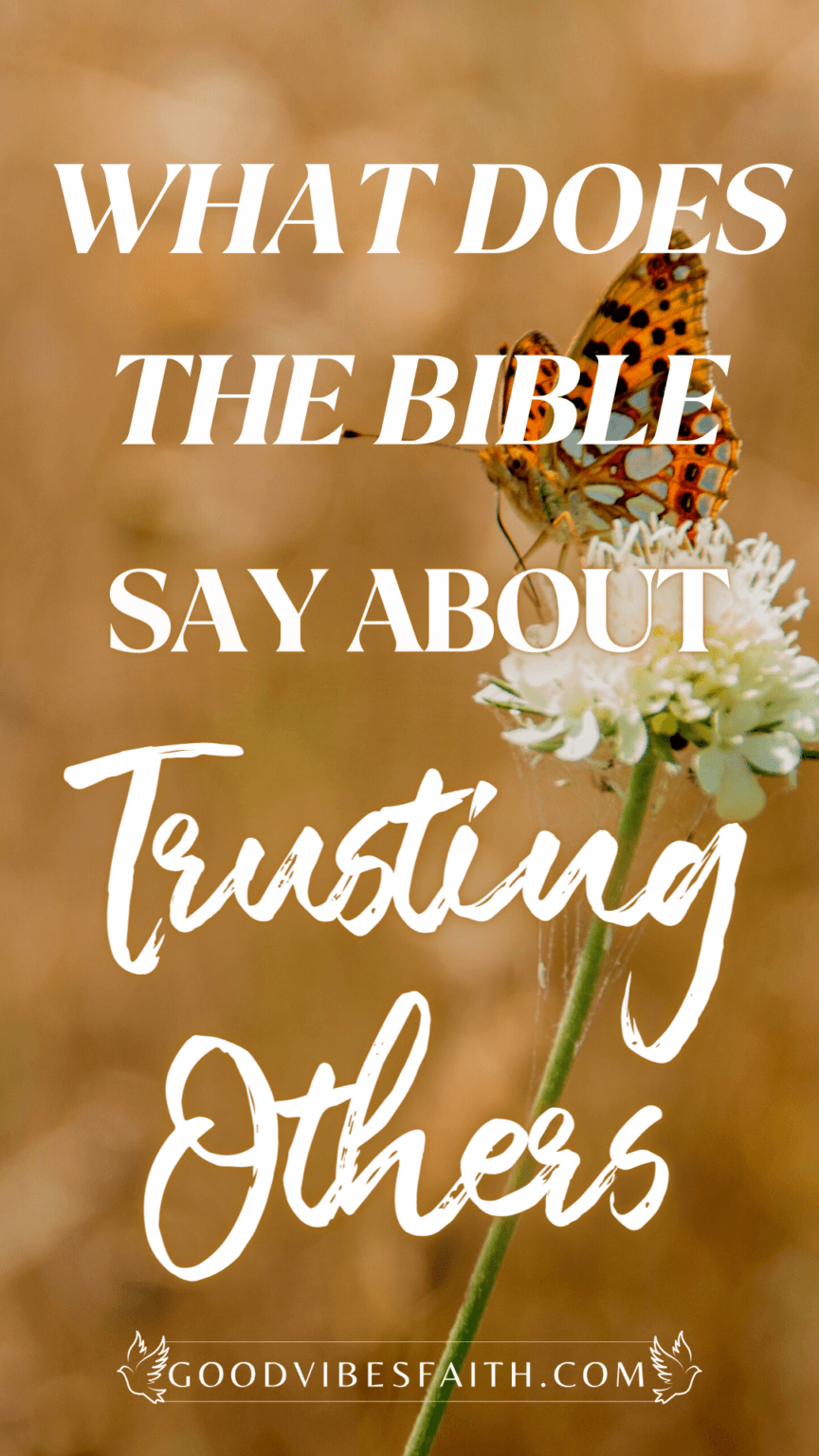 what-does-the-bible-say-about-trusting-others