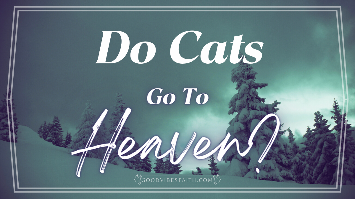 Do Cats Go To Heaven? A Cat Lover's Guide to the Afterlife