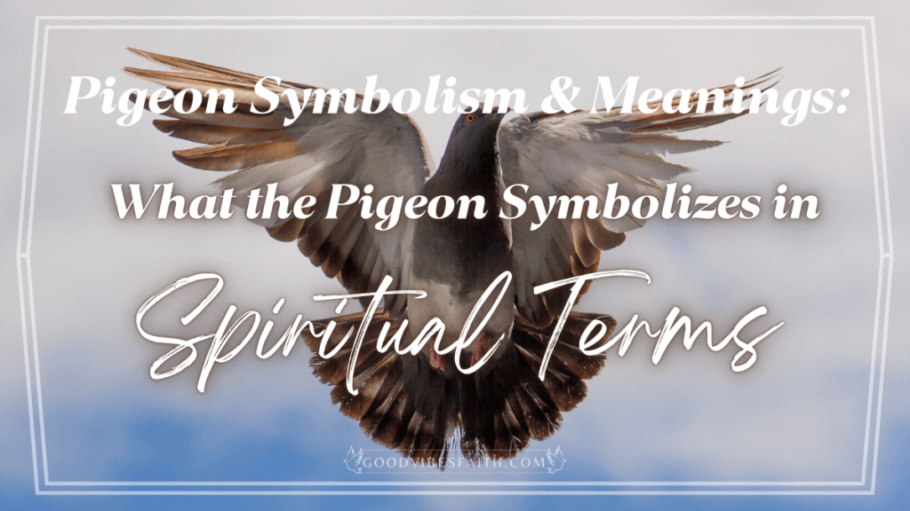 Pigeon Symbolism And Meanings What The Pigeon Symbolizes In Spiritual   Pigeon Spiritual Meaning 1024x576 