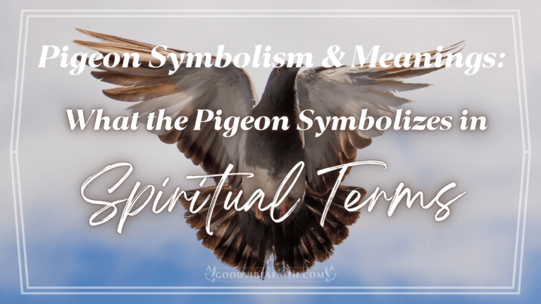 Pigeon Symbolism And Meanings: What the Pigeon Symbolizes in Spiritual Terms