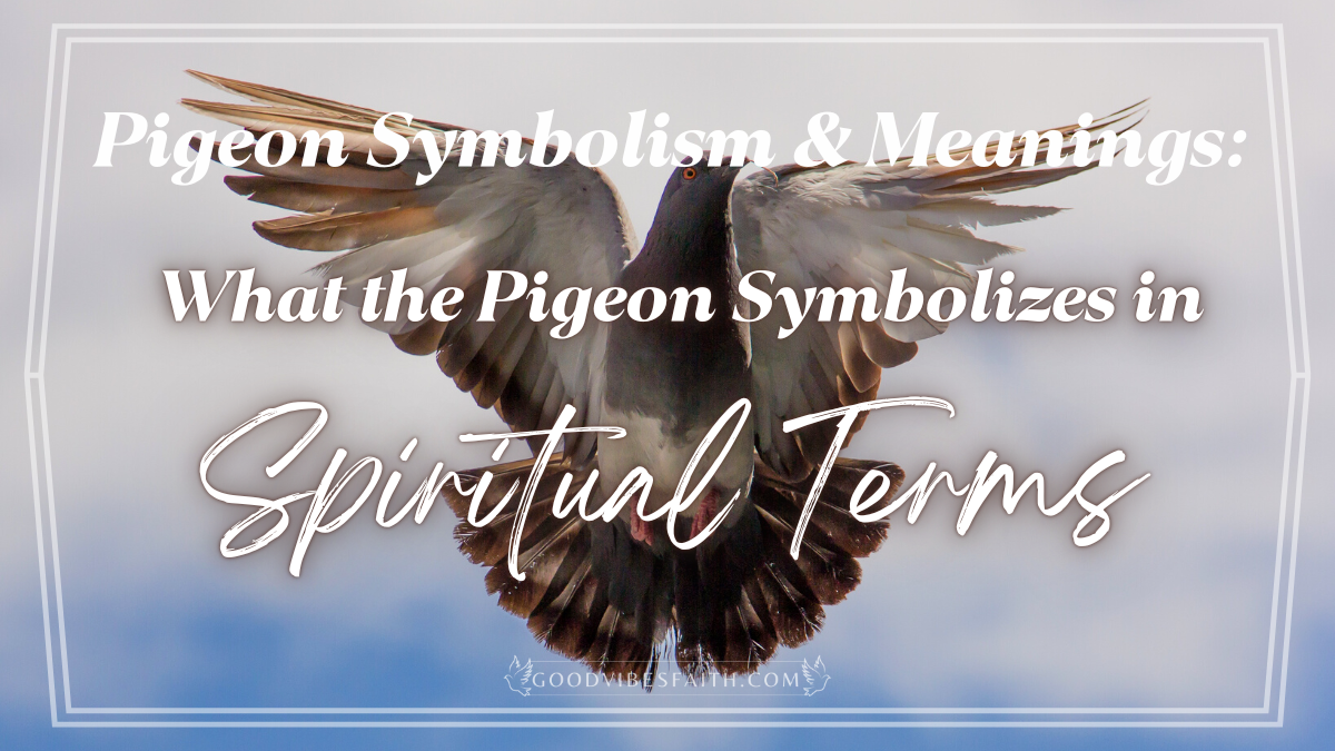 grey-pigeon-spiritual-meaning-explore-the-symbolism-spark-lark