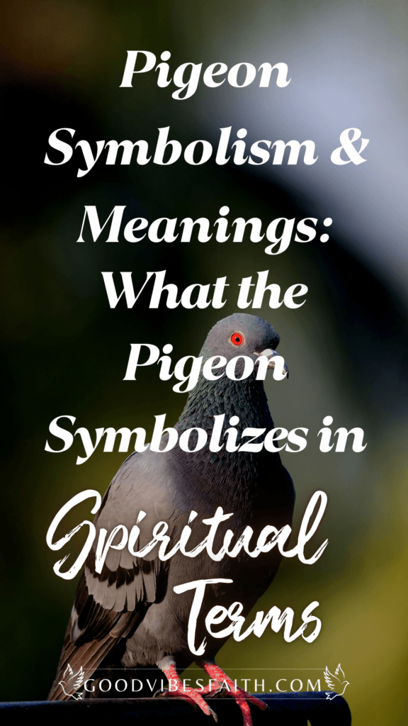 Pigeon Spiritual Meanings