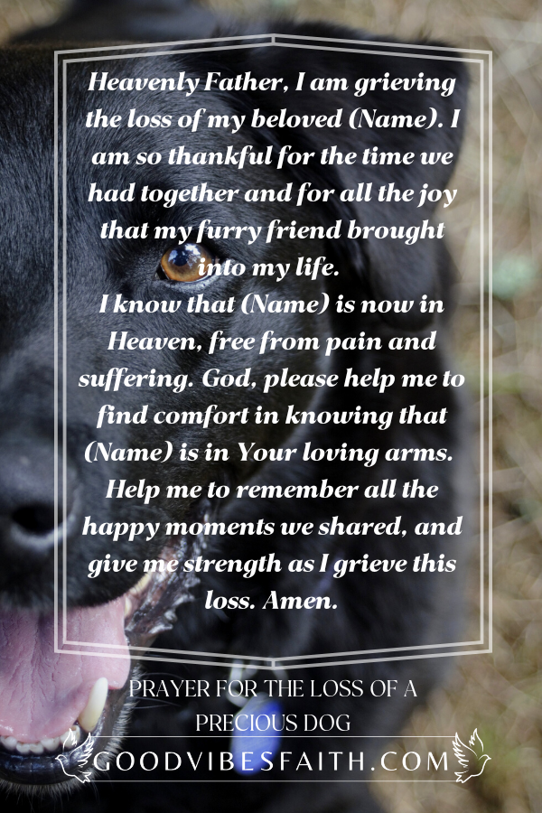 Prayer For The Loss Of A Precious Dog