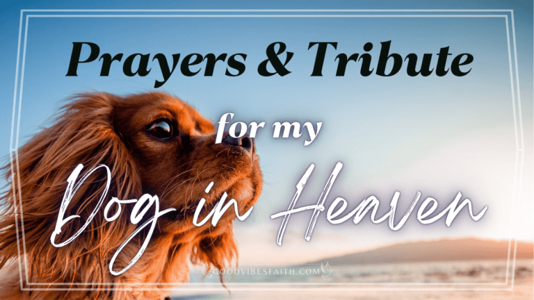 Prayers For My Dog In Heaven: A Tribute To My Beloved Pet