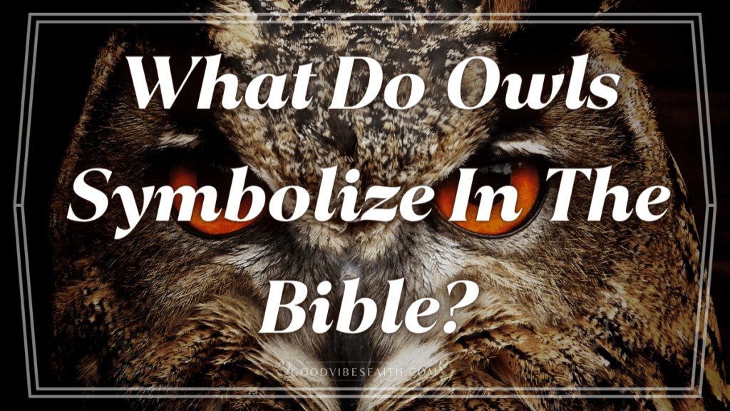 Owl Meaning In The Bible
