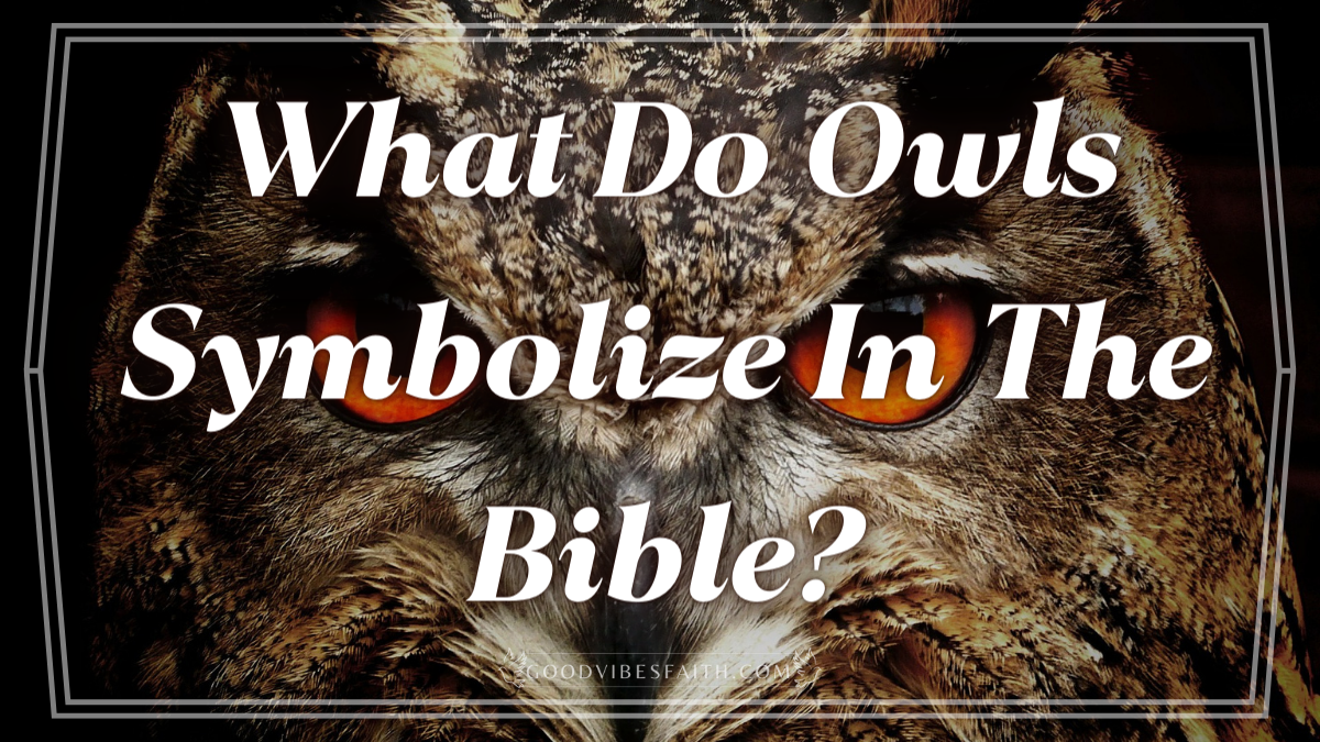 what-do-owls-symbolize-in-the-bible-biblical-symbolism-on-this-majestic