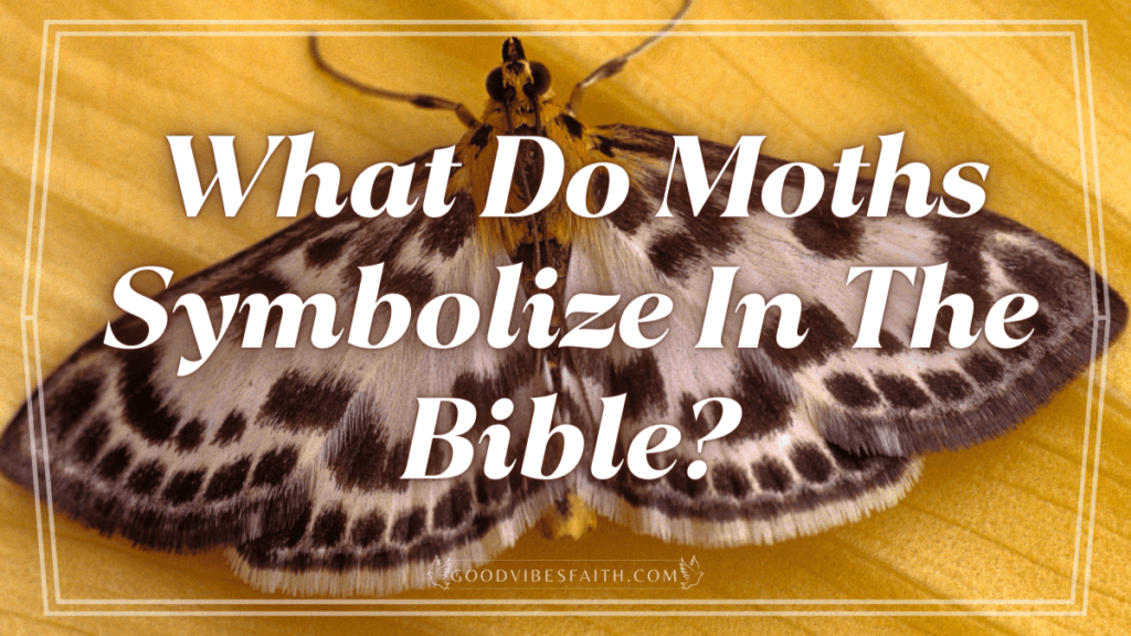 What Do Moths Symbolize In The Bible