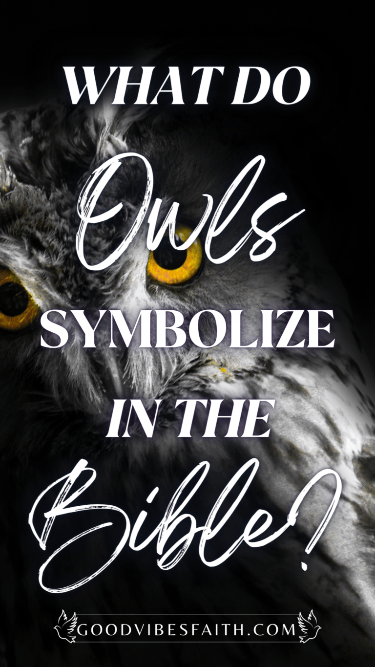 What Do Owls Symbolize In The Bible? Biblical Symbolism On This Majestic