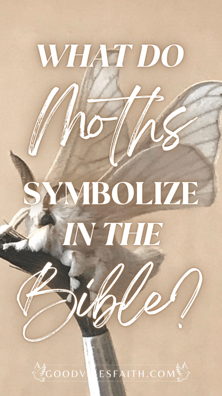 What Do Moths Symbolize In The Bible? Fascinating Biblical Meaning Of Moths